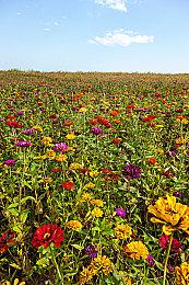 EA发布《极品飞车：不羁》新预告展示夜晚狂飙